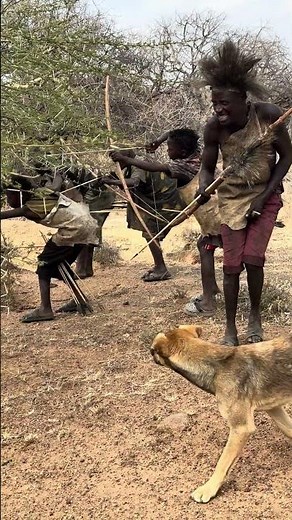 Inside a Hadzabe Hunting Journey | Tracking Wild Animals Deep in the Forest