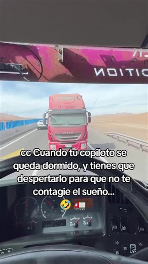 Cuando tu copiloto se queda dormido: Momentos divertidos