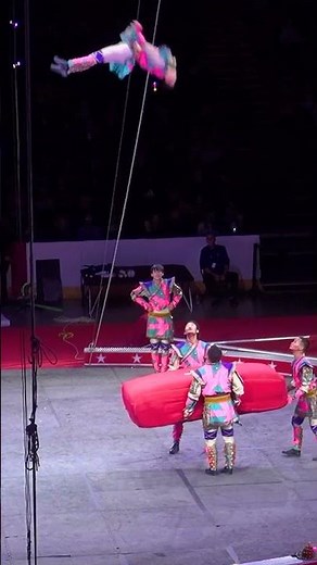 Incredible Crazy Acrobatic Tricks #trick #tricks #stunt
