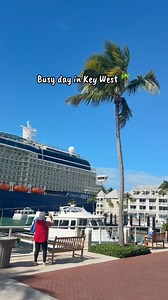 Super busy day in Key West today 🌴😅 #keywest #keywestflorida #floridakeys #thefloridakeys #islandlife | Experience Key West