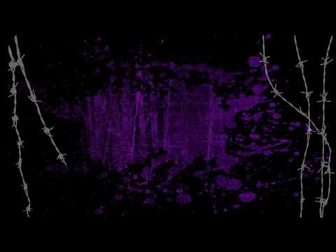 1011 - Next Up? Lyrics