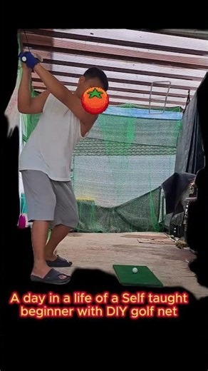 No Coach, No Range... Just a DIY Golf Net ⛳ #funny