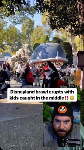Hard Factor on Instagram: "Wild Disneyland brawl erupts with kids, strollers caught in the middle 🎥: @capturedthrills"