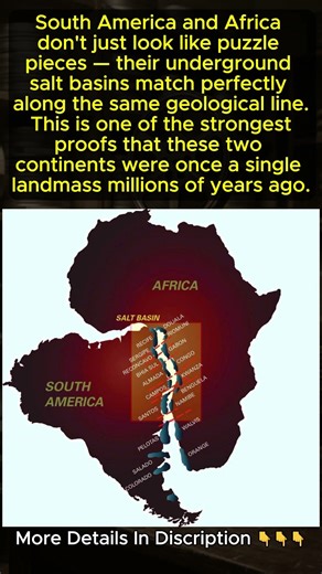 South America & Africa Fit Together More Perfectly Than You Think #Shorts