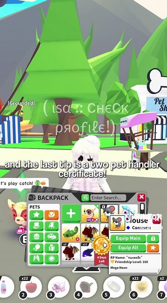 Grinding Tips Part 2 for Adopt Me Players