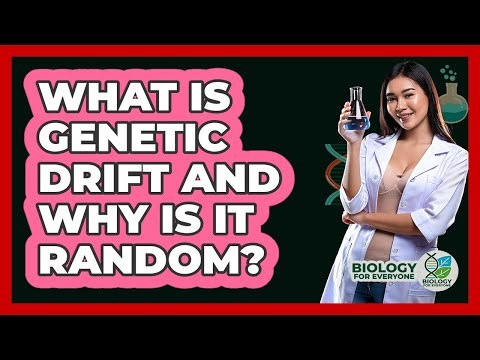 What Is Genetic Drift And Why Is It Random? - Biology For Everyone