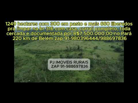 1249 hectares nas margens da BR316 há 220 km de Belém do Pará R$7.500.000,00