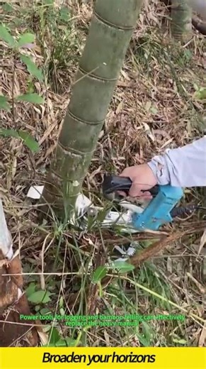 Electric logging shears #wood