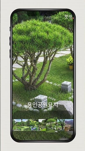 용인공원묘원 경기도 수목장 가격 비교플랫폼 첫장