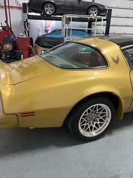 1978 Trans-Am Walk Around Y88 Gold Edition