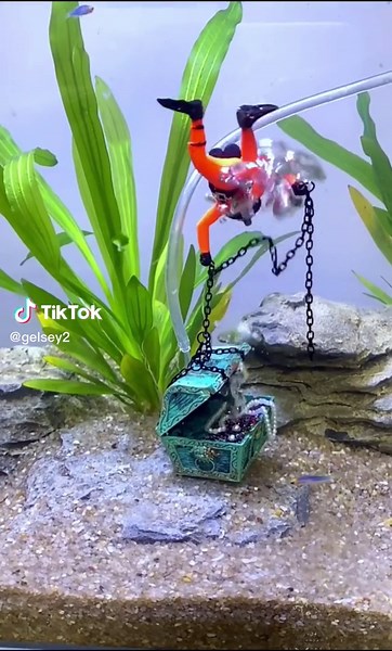 Unlocking the Treasure Chest in Your Fish Tank: No Electricity Required!