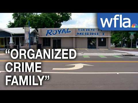 Tampa police shut down drug trafficking operation running out of grocery store