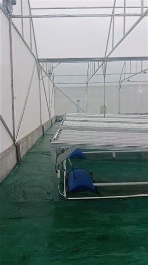 PROYEK GREENHOUSE UNTUK TANAMAN SAYUR SISTEM HIDROPONIK