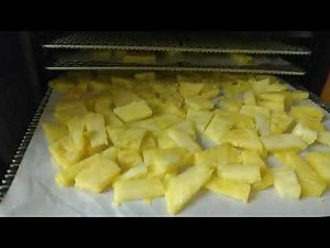Dehydrating Pineapple! TRUE Nature's candy!! Give it a try! Simple and comes out DELICIOUS!