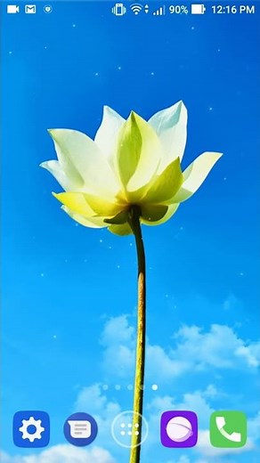live flower wallpaper