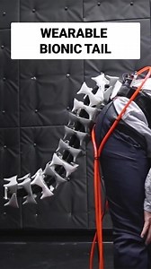 3.6K views · 23 reactions | What would you do if you woke up with a tail? #technlogy #robotics #bionics | CyberNews | Facebook