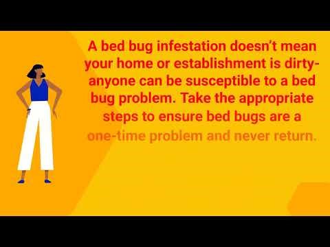 Ecola Termite - Extermination in Los Angeles, CA