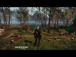 The Witcher 3 Wild Hunt - Console commands - travel anywhere without Fast Travel Signposts (HD)