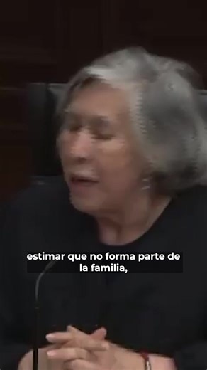 Declaraciones de la ministra María Estela Ríos sobre in vitro