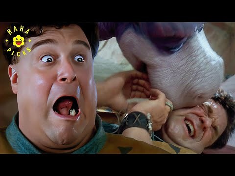 Wilma, I'm Home! | The Flintstones