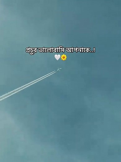 MD Gibon on Reels | Facebook