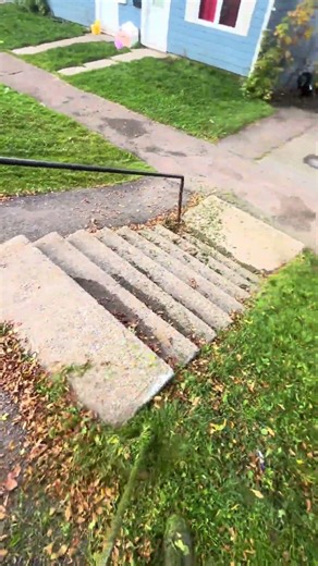 Satisfying long grass cutting with string trimmer #lawncare #groundmaintenance #lawnmowingbusiness