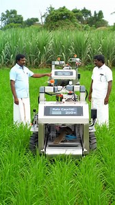 Smart Farming in Action – Robots Catching Rats in Paddy Fields 🌾✨ | Ai | Chennai FootPrints