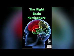 The Right Brain Hemisphere (Alpha Frequency )