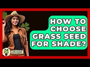 How To Choose Grass Seed For Shade? - The Plant Enthusiast