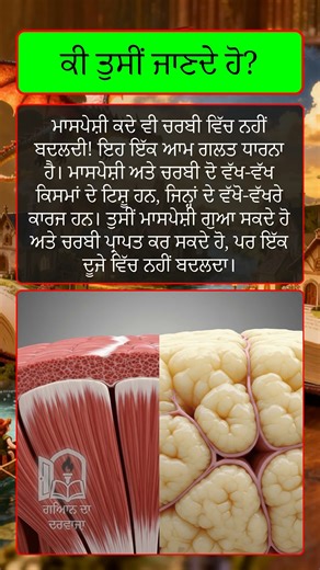 ਮਾਸਪੇਸ਼ੀ ਚਰਬੀ ਵਿੱਚ ਨਹੀਂ ਬਦਲਦੀ! | Muscle Does NOT Turn Into Fat | Fitness Facts