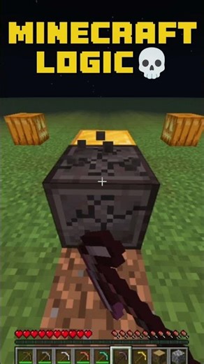 Minecraft Logic That Makes ZERO Sense 🤯 #shorts