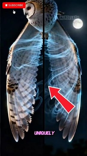 How Owls Achieved Perfectly Silent Flight