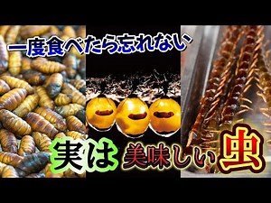 絶対ビックリする虫グルメ特集！ビジュアルはヤバくても驚きの美味しさを秘めた実は食べられる虫
