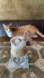 かわいいネコだらけの喫茶店☕️ 🐈猫喫茶ネコブ🐈‍⬛ ＼予約必須です／ ご利用には、 よくある質問を確認お願いいたします。 Reservations are recommended. Booking site is in our bio. English menu is available on our website. 🔍Please search for "catcafe Nekobu"🐱 #ネコブ #猫喫茶ネコブ #枚方市#大阪カフェ | 猫喫茶 ネコブ
