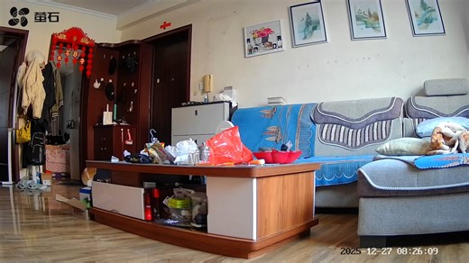 Hilarious corgi seal crawl in Shandong, China