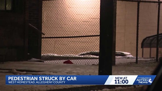Pedestrian struck by car in West Homestead