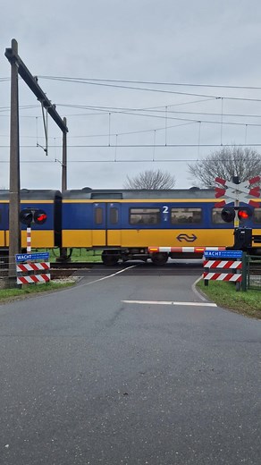 Trein Video's van Spoorovergangen in Nederland