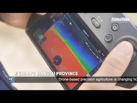 Drone imaging drives smarter nitrogen decisions in E China
