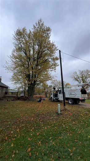 Maple take down. #rainyday #treeservice #stihl #treeremoval #BBB | Neer Perfection Tree Service