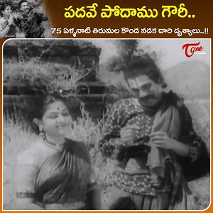 1.2M views · 29K reactions | 75 Years Old Tirumala Visuals " Padave Podamu Gouri " Village Folk Song from " Sri Venkateswara Mahatyam " mythological Drama Movie, Starring : NTR, Savitri, S.varalakshmi, Santha Kumari, Chittur Nagaiah, Ramana Reddy, surabhi balasaraswathi and others, movie directed by P Pullaiah and music by Pendyala Nageswara Rao #Srivenkateswaramahatyammovie #padavepodamugourisong | Old Telugu Songs | Facebook