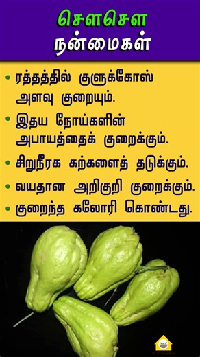 🥒 சௌ சௌ (Chayote) காயின் அற்புத நன்மைகள்! | சௌ சௌ காய் பயன்கள் | Health Tips Tamil #shortsfeed