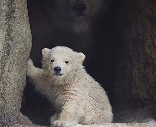 It's a Beautiful Day in the Neighborhood