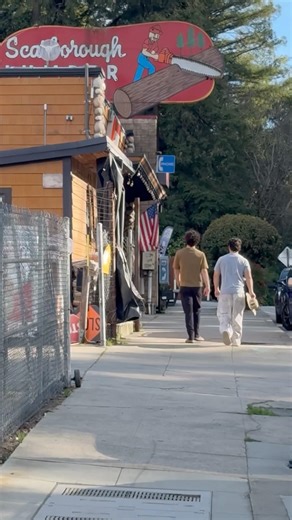 Townies Under the Timber Sign | Walking in Boulder Creek, California