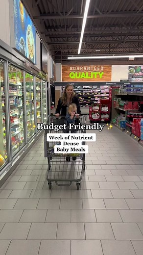 Family-Friendly Nutrient Dense Meal Plan for Babies and Children