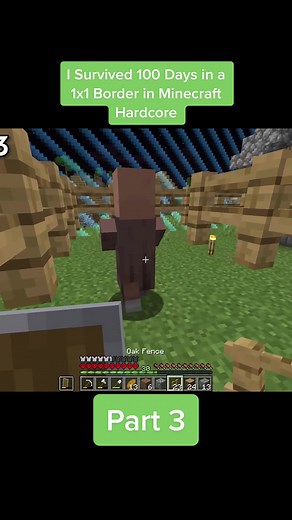 Surviving 100 Days in a 1x1 Border | Hardcore Minecraft Journey