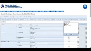 Analytics-Creating a Skills Matrix and Strategic Audit Report