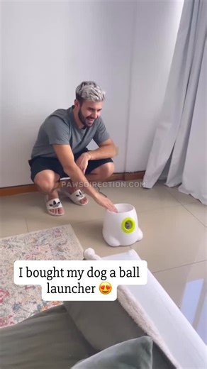 6.1K views · 2.9K reactions | Automatic Dog Ball Launcher  | frenchies.community | Facebook