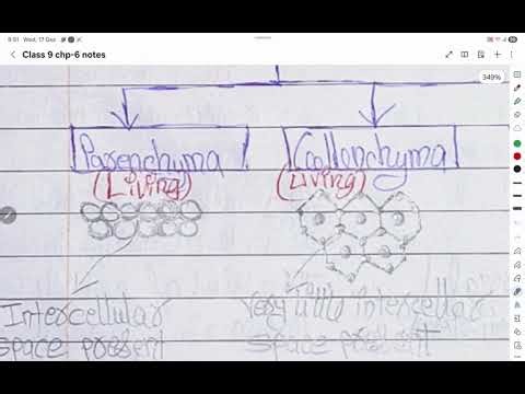 Tissue chapter 9 science. #class9science #education #fastlearning #science #class9science