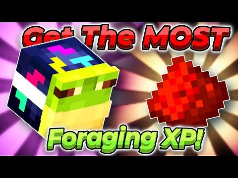 What Is The Best Foraging XP Method?? | Hypixel SkyBlock Complete Guide