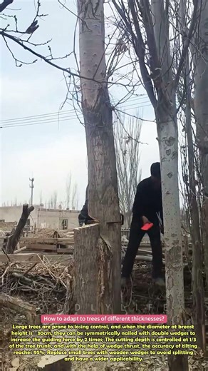 Clever use of wedges when cutting down trees #practical #skills #clever